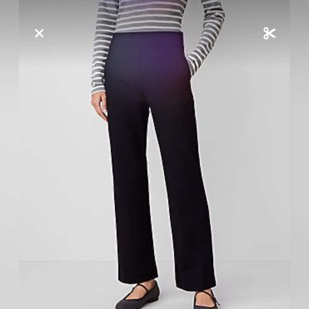 Black dress pants